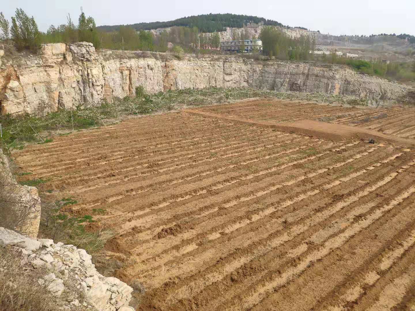 樱桃园水肥一体化灌溉设计